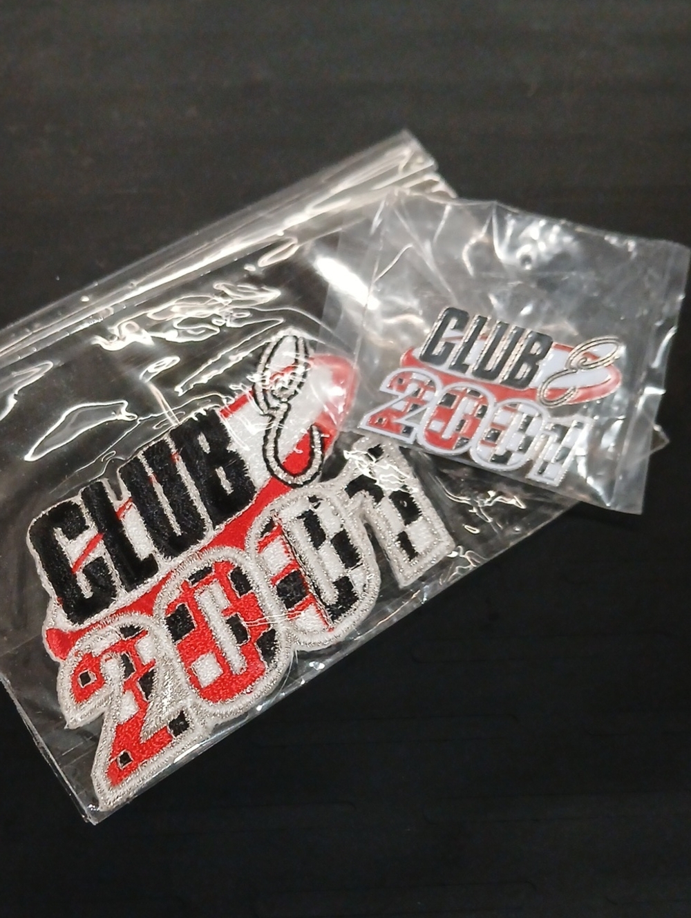🏁 Earnhardt Club E 2001 Fan Club Patch Pin Set